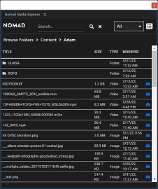 Nomad Media Explorer - Browse List View